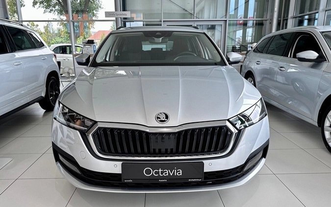 Skoda Octavia cena 135600 przebieg: 4, rok produkcji 2024 z Janikowo małe 79